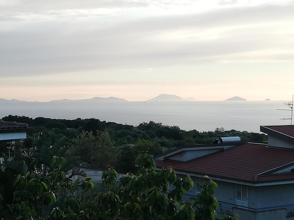 B&B Villa Orchidea 리카디 외부 사진