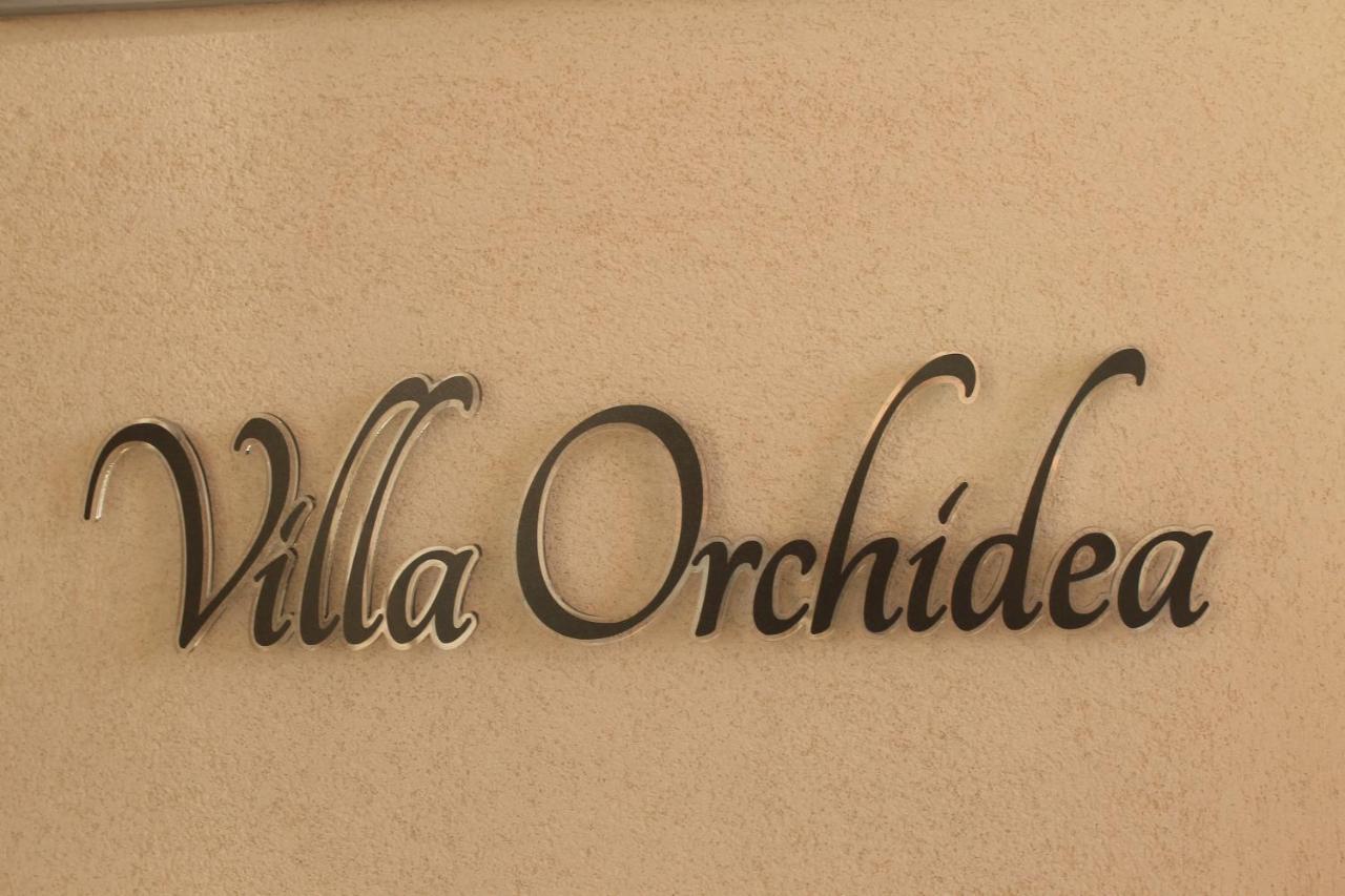 B&B Villa Orchidea 리카디 외부 사진