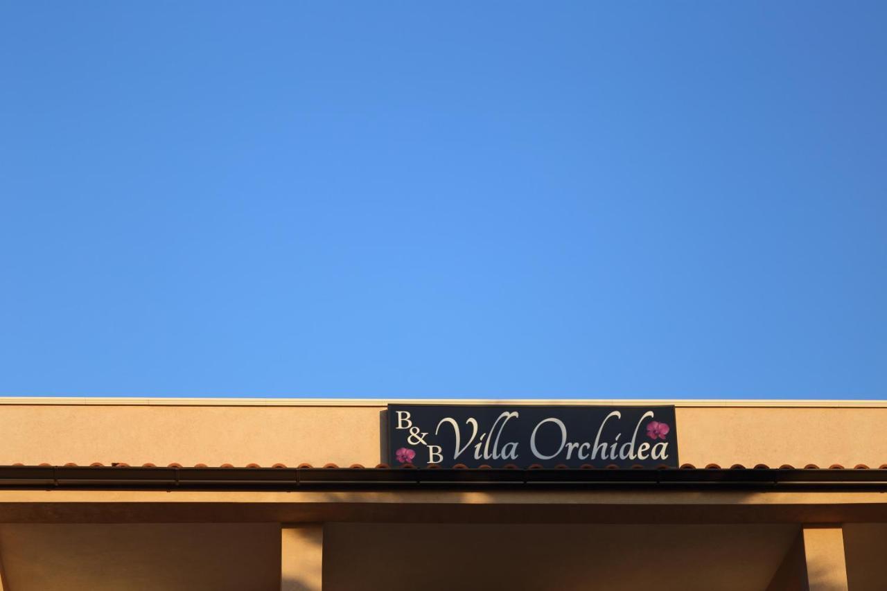 B&B Villa Orchidea 리카디 외부 사진