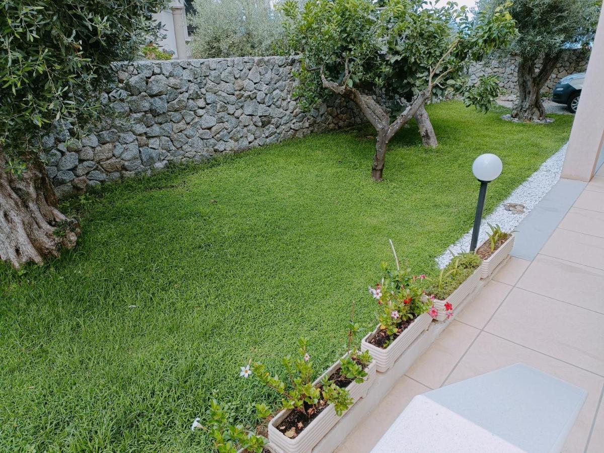 B&B Villa Orchidea 리카디 외부 사진